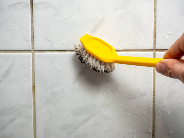 Best Mold Remediation  in Weaverville, CA
