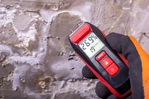 Best Same-Day Mold Removal  in Weaverville, CA