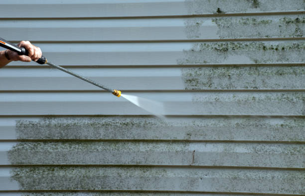 Best Certified Mold Removal  in Weaverville, CA