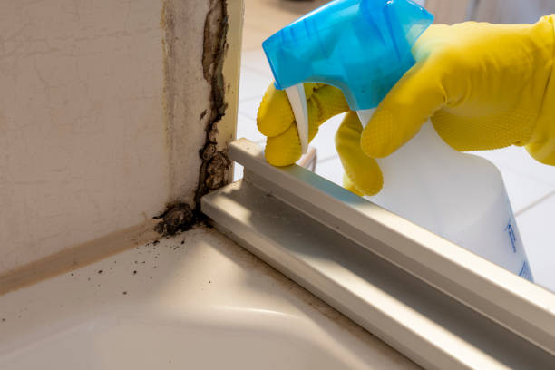 Best Mold Testing  in Weaverville, CA