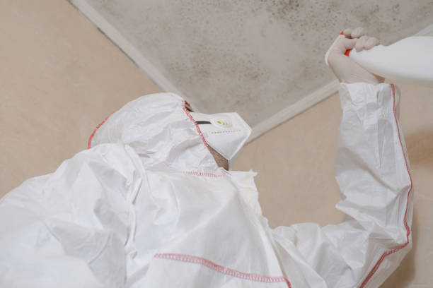 Office Mold Removal Services in Weaverville, CA