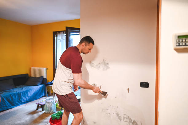 Best Toxic Mold Removal  in Weaverville, CA